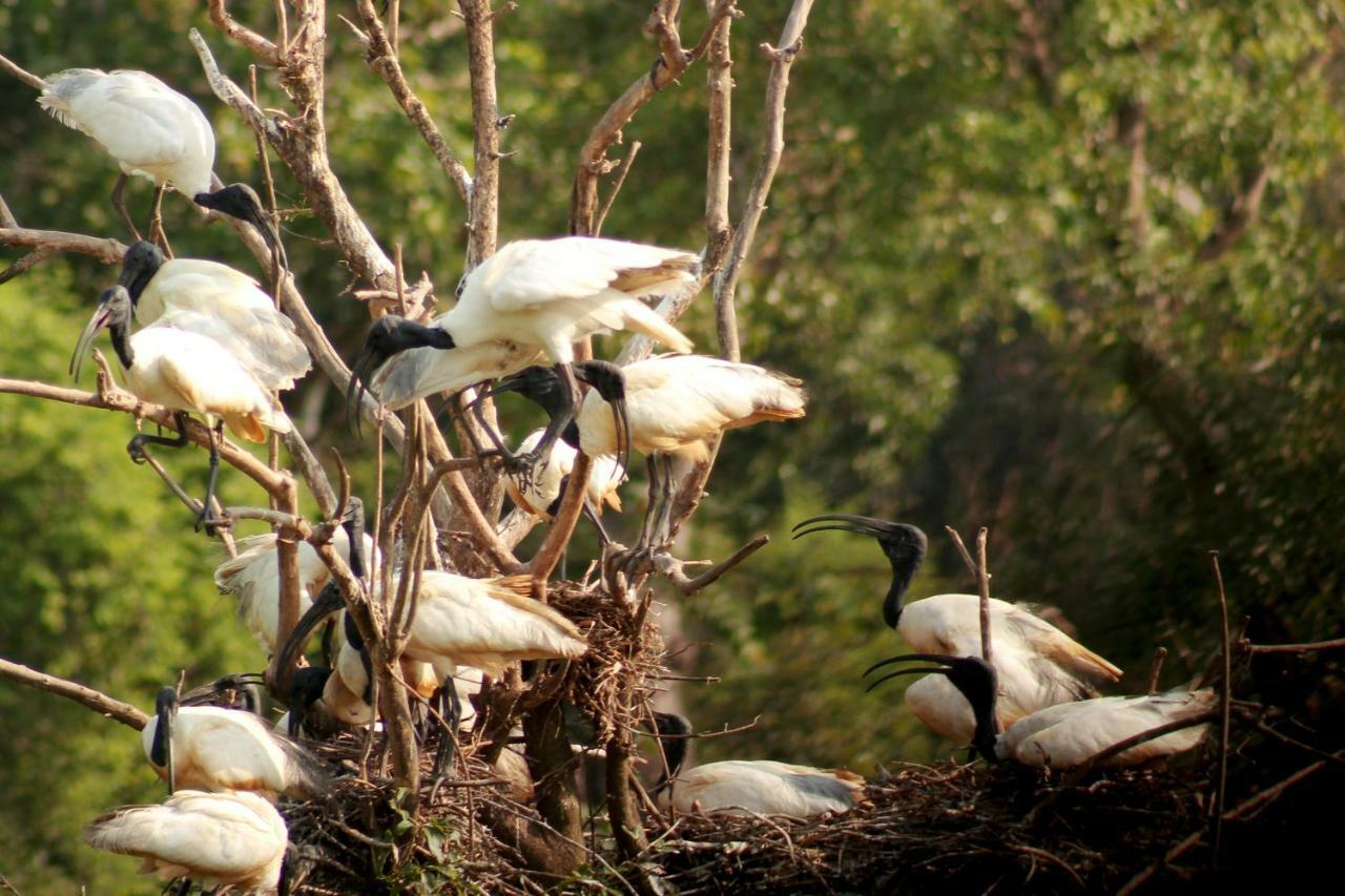 Wasgamu Safari Lodge Wasgamuwa Екстер'єр фото