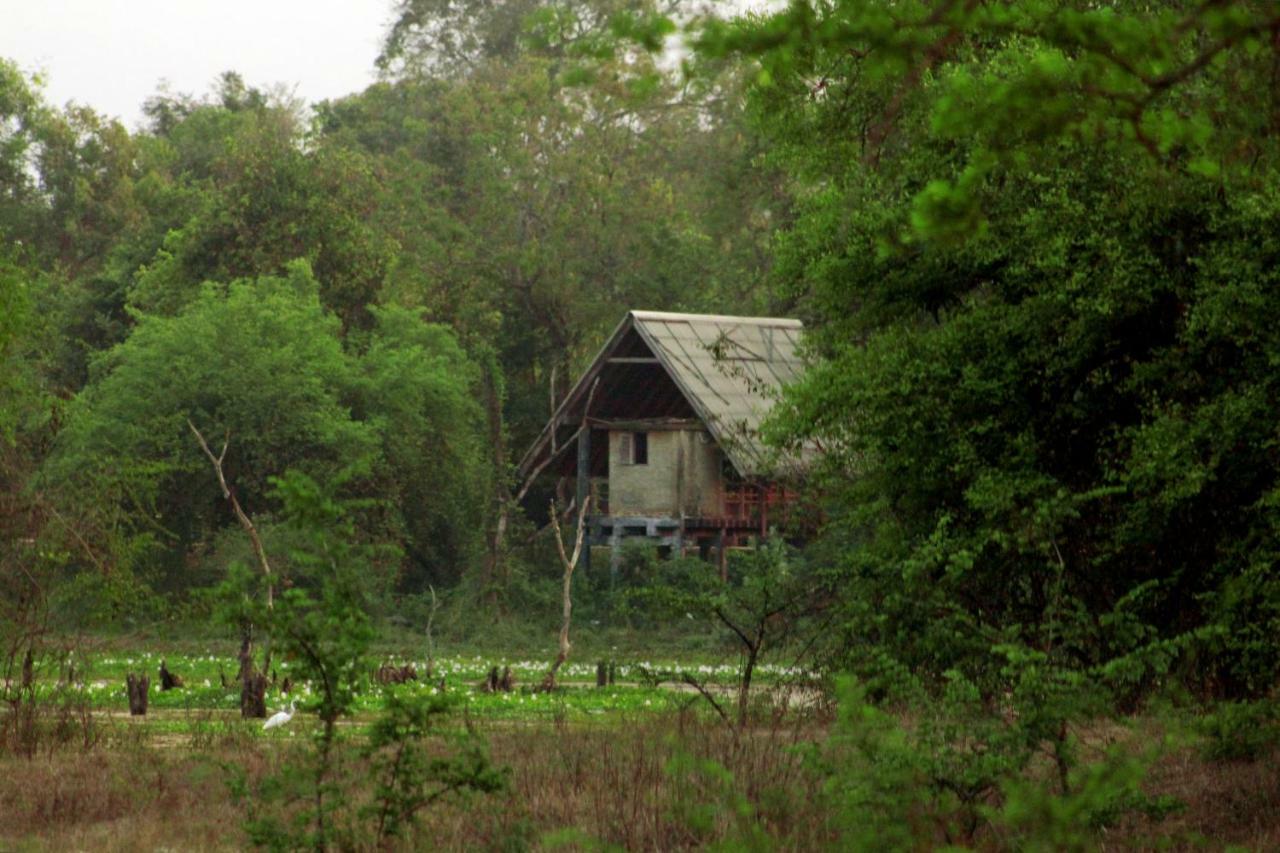 Wasgamu Safari Lodge Wasgamuwa Екстер'єр фото