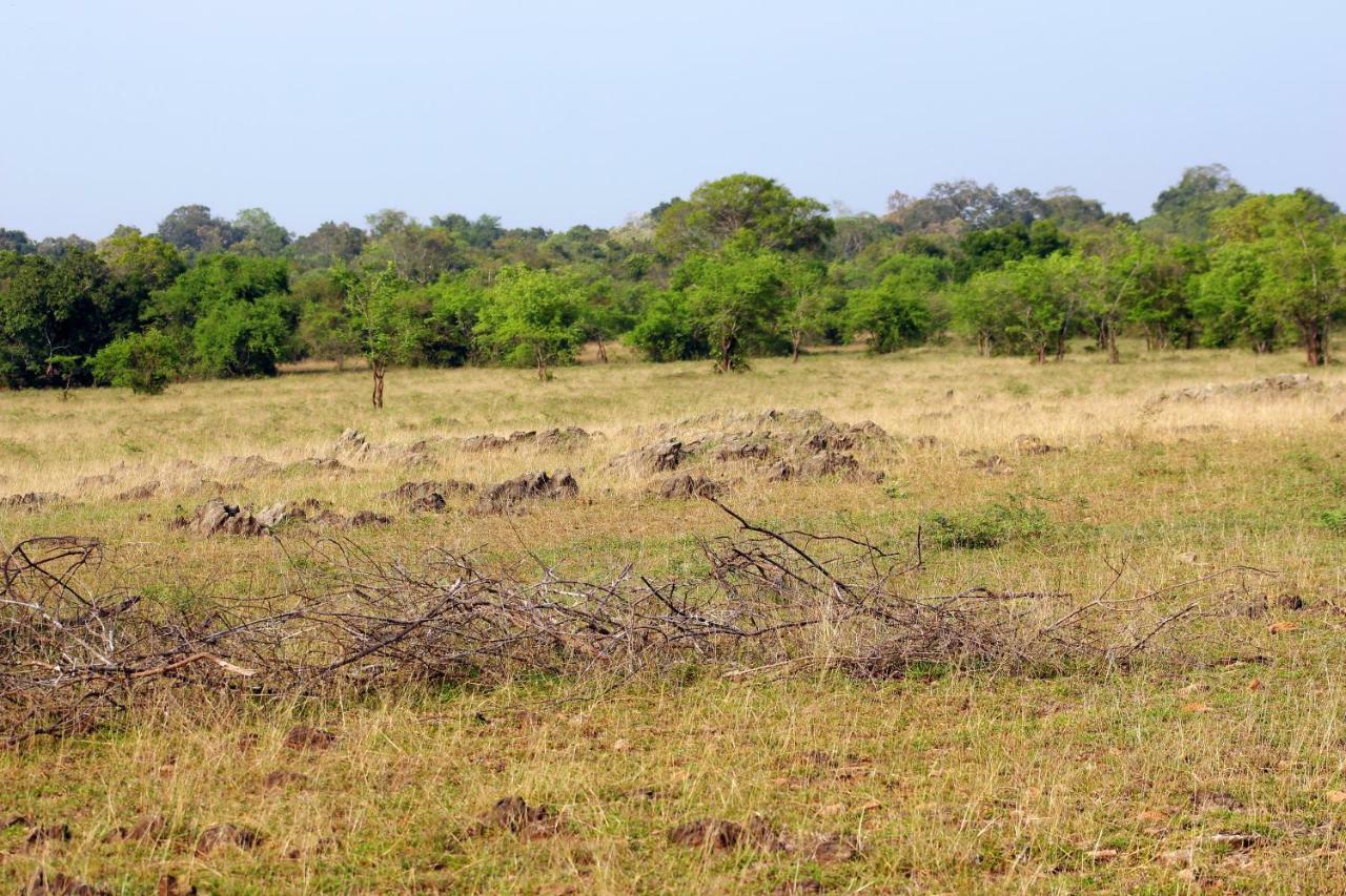Wasgamu Safari Lodge Wasgamuwa Екстер'єр фото